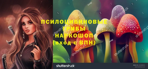 хмурый Арсеньев