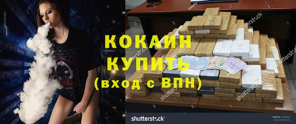 хмурый Арсеньев